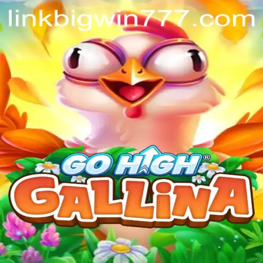 Exploring GoHighGallina: The Engaging World of Bigwin777